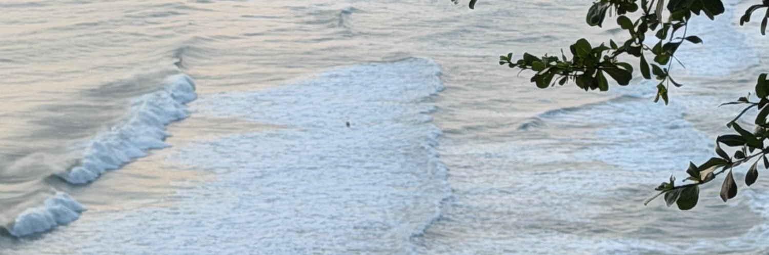chaa🧸's banner