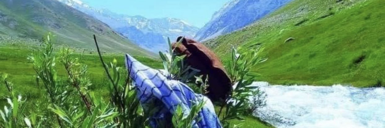 Muzhgan Feraji/مژگان فراجی's banner