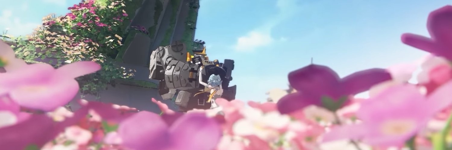 exotic's banner