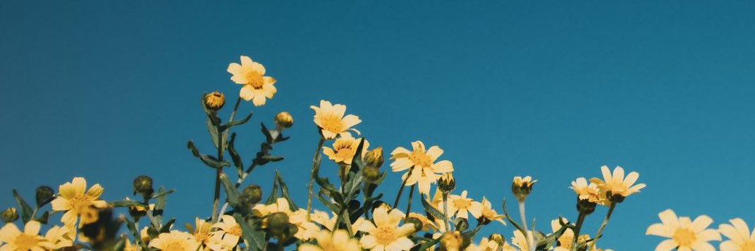 พบค🫧's banner