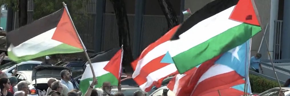 Cynthia López Cabán 🍉 🇵🇸's banner