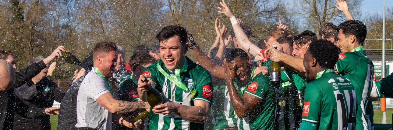 Leatherhead F(C)'s banner