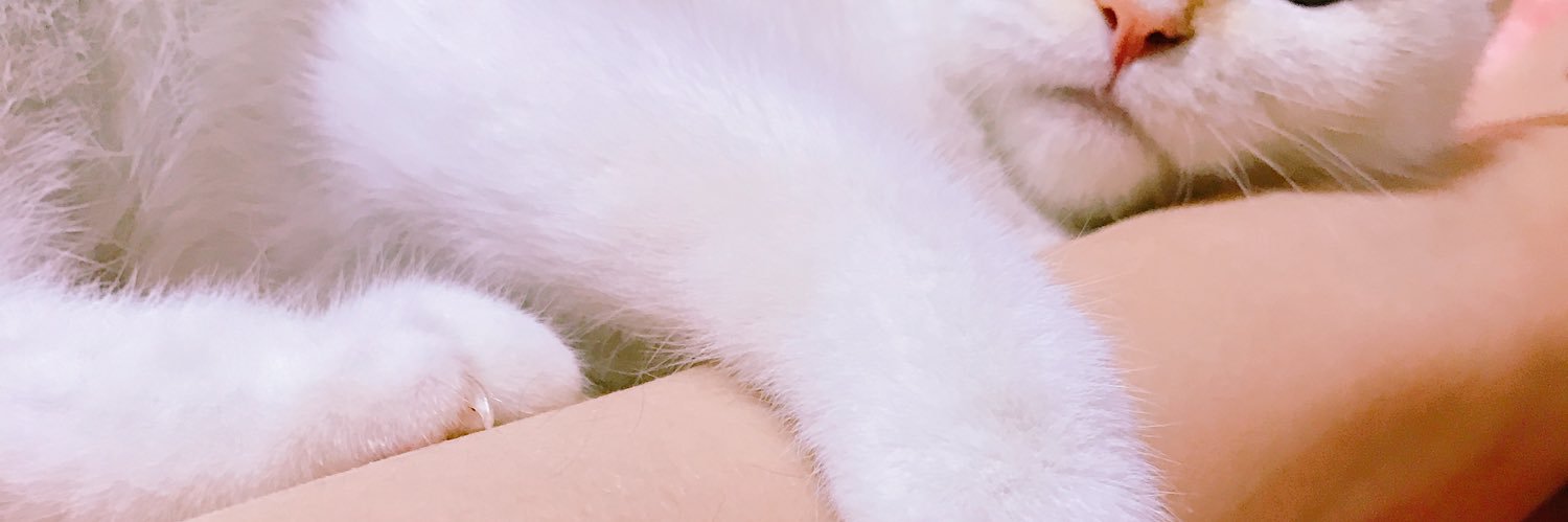Hollow_rabbit's banner