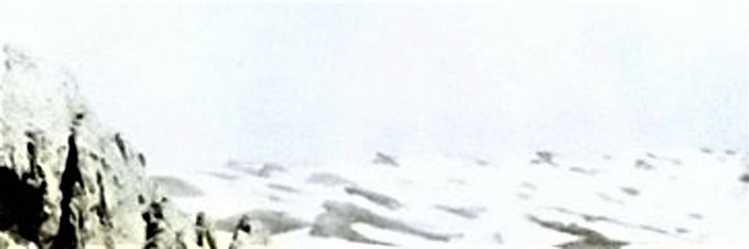 J.'s banner