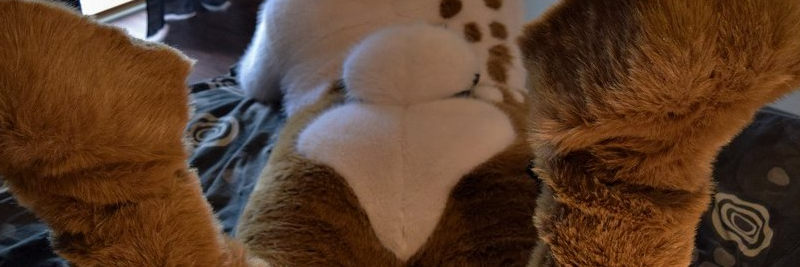 Fursuit Butts!'s banner