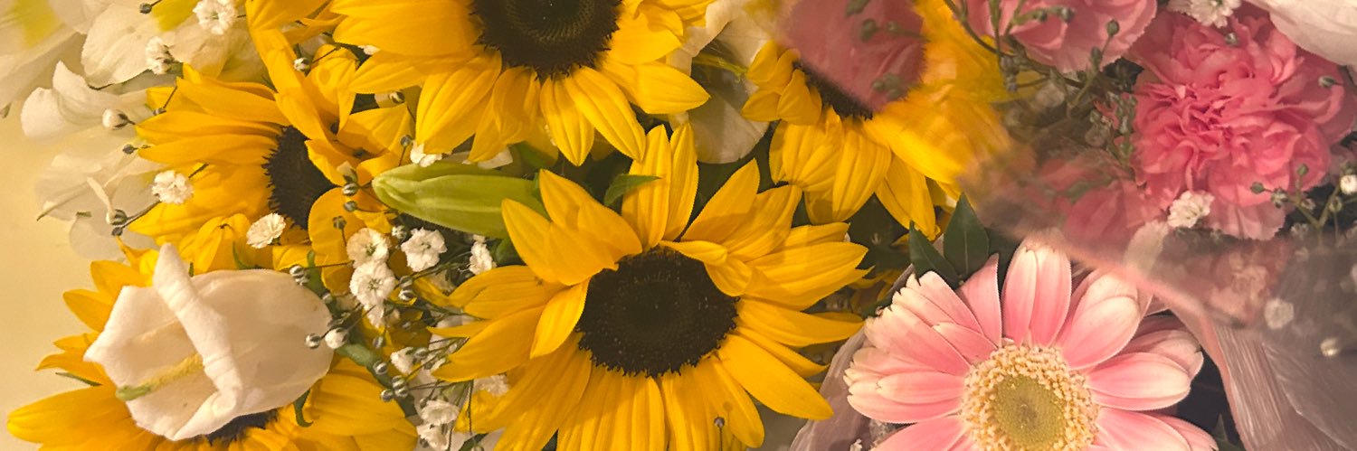 渡辺 萌菜's banner
