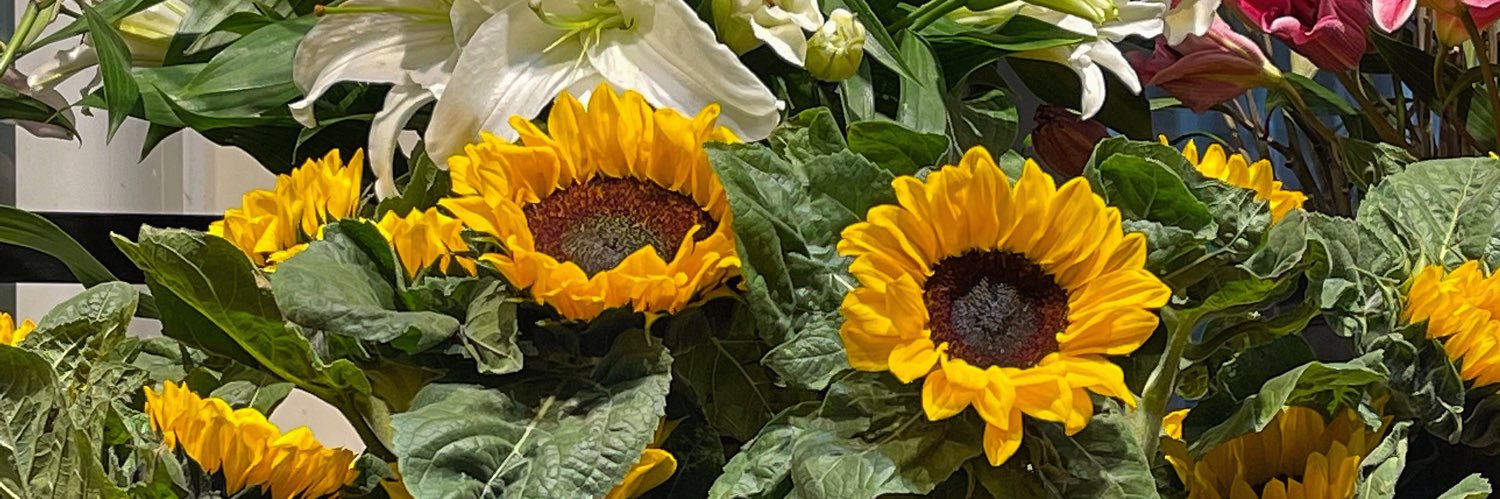 FLAMING 플레민🌻's banner