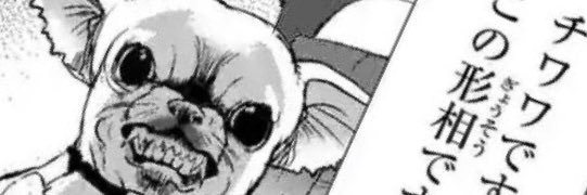 🥩チワ族🔪's banner