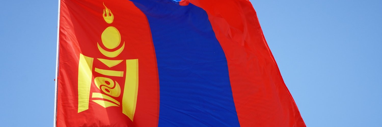 Шинэбаярын Бямбасүрэн's banner