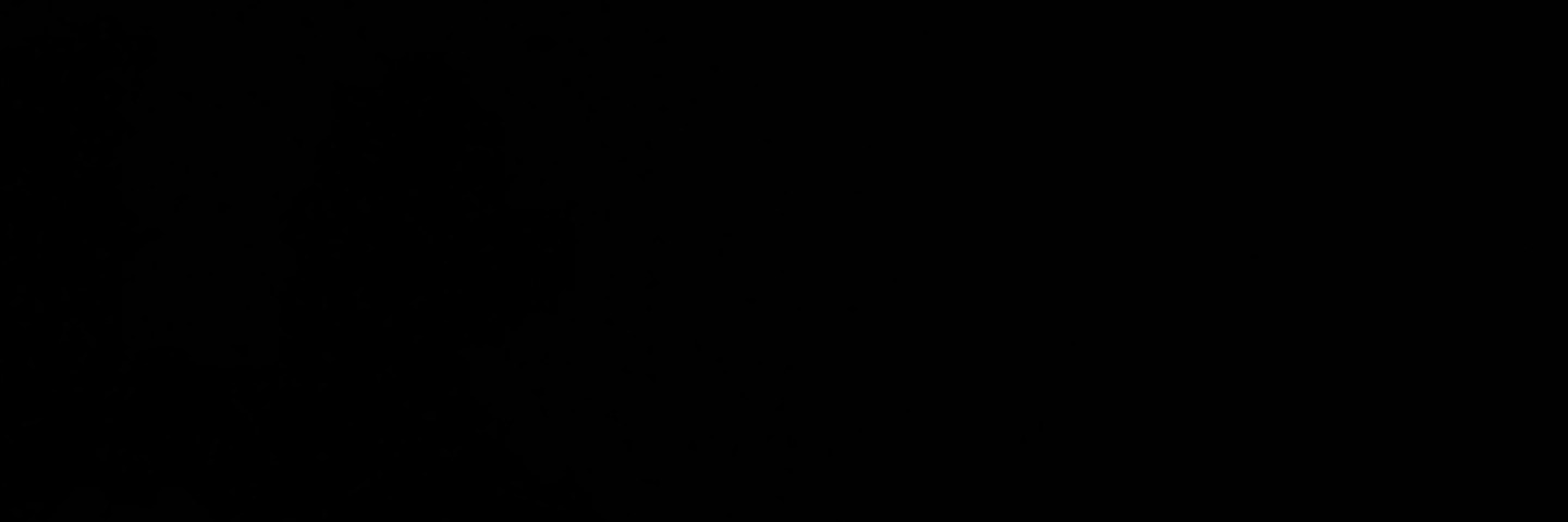 Han.'s banner