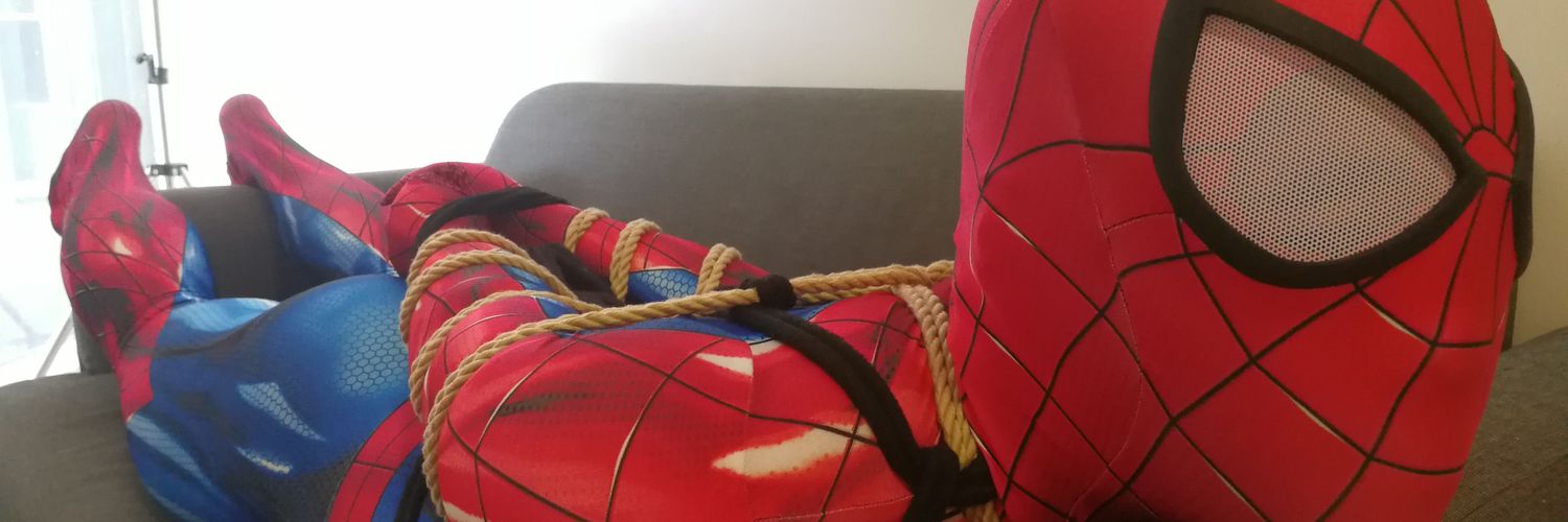 spider-sock's banner