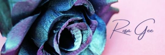 Rosa 🇬🇧's banner