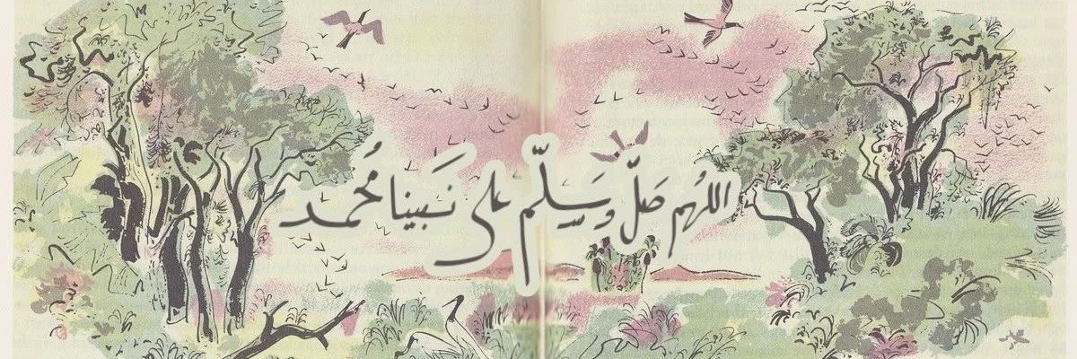 irem's banner