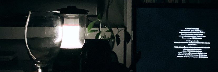 カズベキの犬's banner