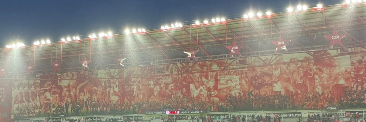 Sophía Henríquez Avendaño's banner