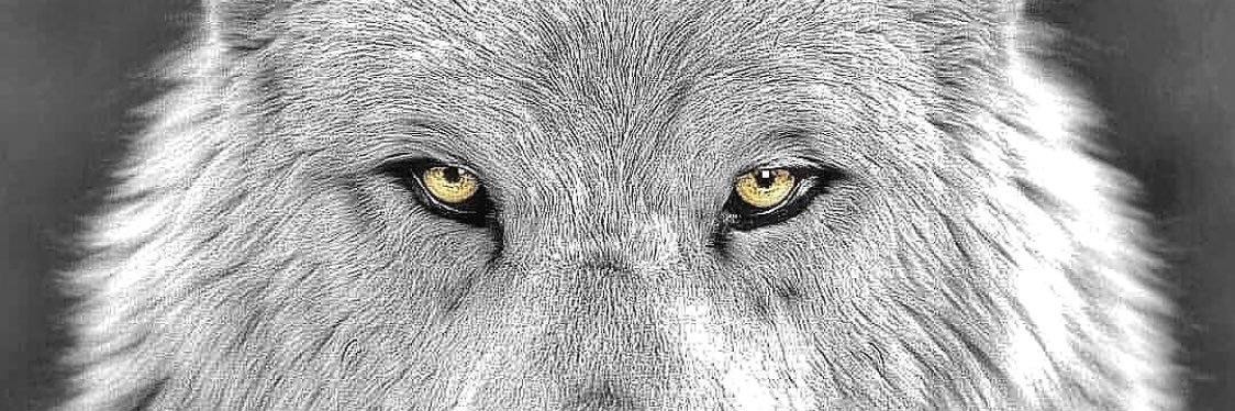BigBadWolf's banner