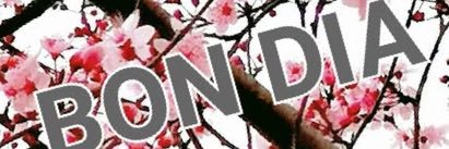NuriaJomba12's banner
