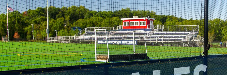 DeSales Athletics's banner
