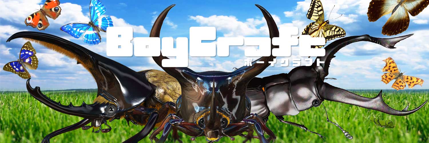 Boycraft's banner