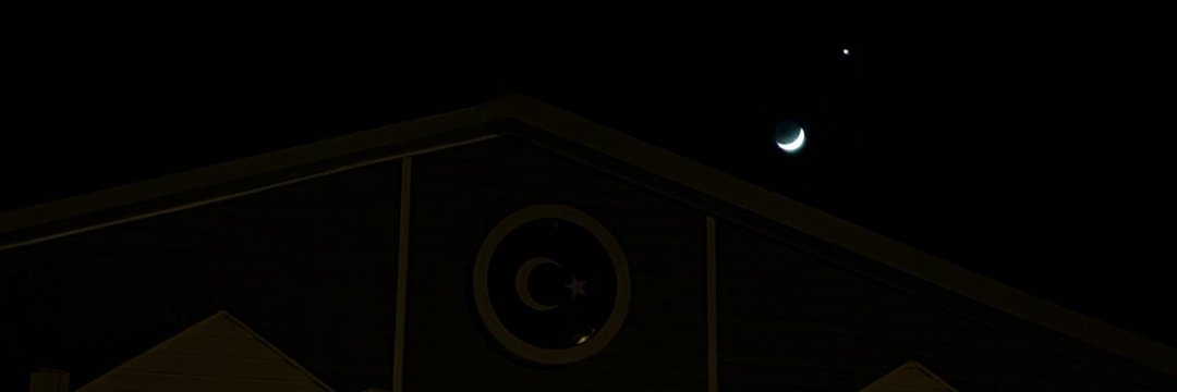 🧭's banner