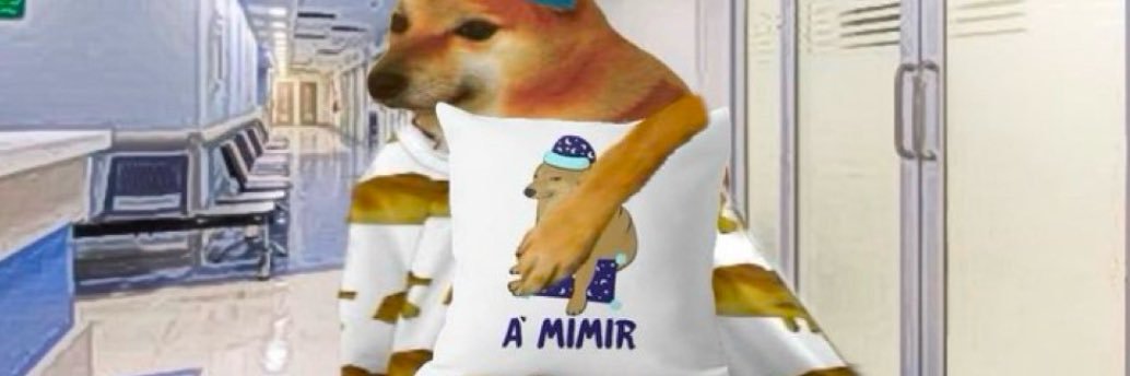 𝕰𝖑 𝖒é𝖉𝖎𝖈𝖔 𝖆𝖒𝖆𝖗𝖌𝖆𝖉𝖔's banner
