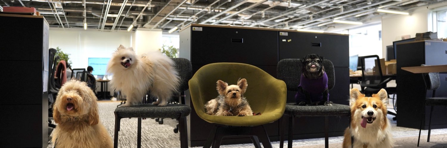 ココグルメ｜社員犬たちと手づくりごはんを届ける会社's banner