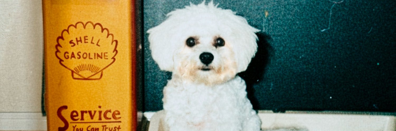 ——'s banner