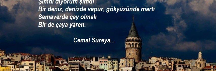 Serap Can 🐺🇹🇷🤘's banner