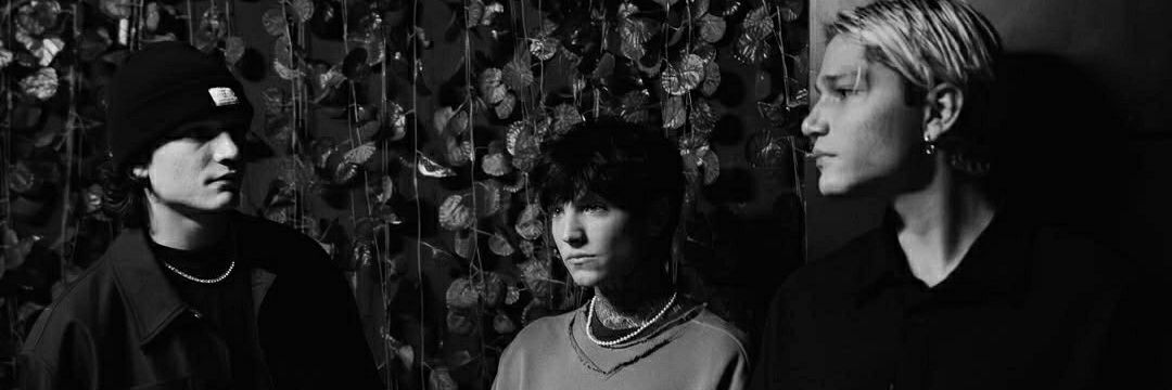 彡 Vero🪻彡's banner