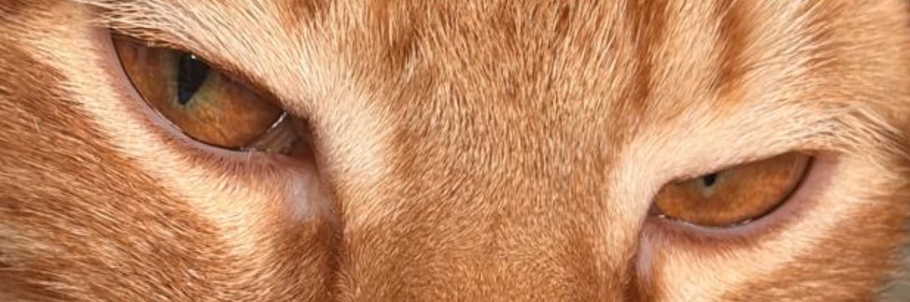 La MORI BUNDA's banner
