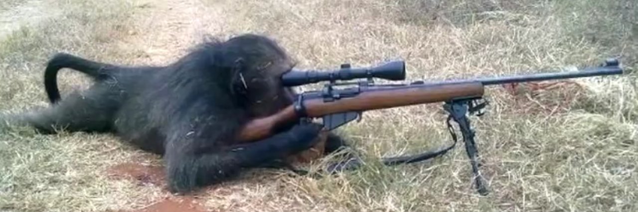 Vou pros Balcãs ser Traficante de Armas da Silva's banner