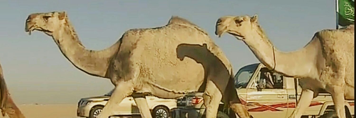 (المبلشات) لأبناء مبلش بن سفر المرزوقي البقمي's banner