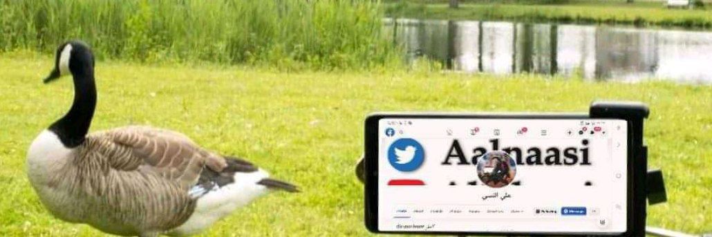 علي النسي's banner