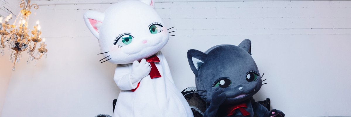 ぶいにゃす😺🎀🍓's banner