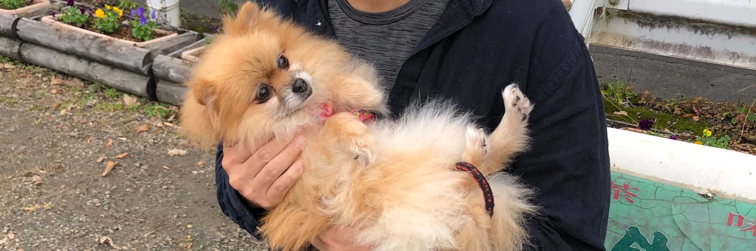 りんちゃんぽめ🐶's banner
