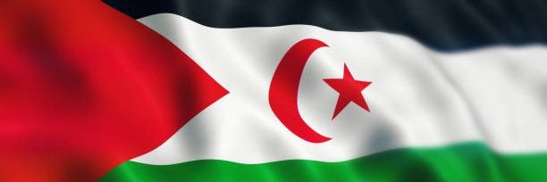 Chejlekbir |🇪🇭| الشيخ لكبير's banner