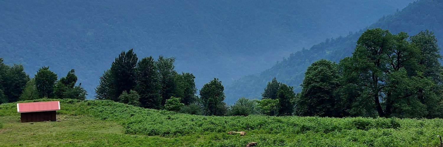 عمه ی بارانا 👧🏻❤️'s banner