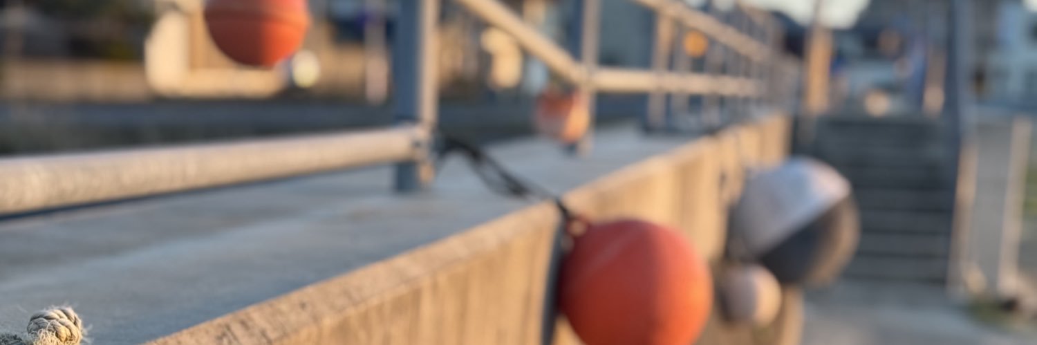 あおい🥕️'s banner