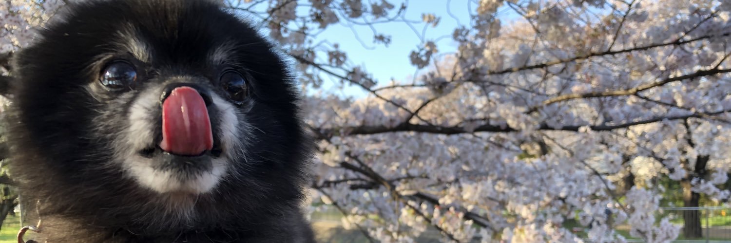 高坂友衣's banner