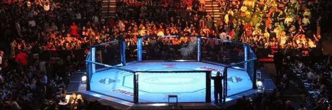 UFCマニア's banner