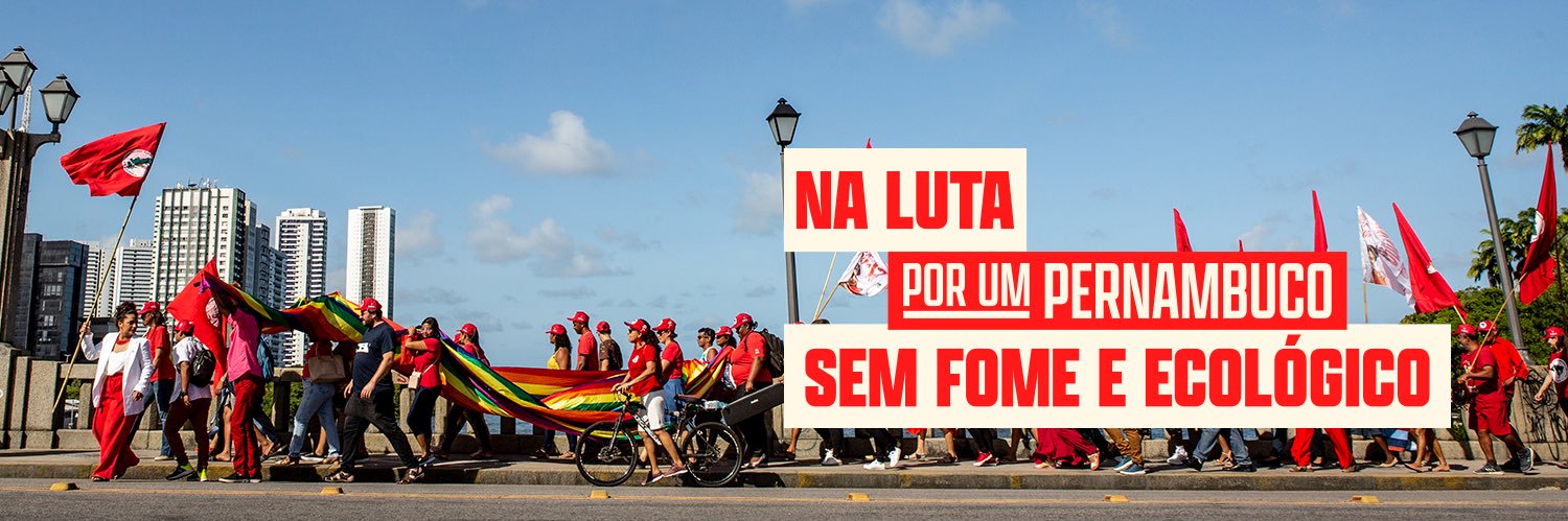 Rosa Amorim's banner