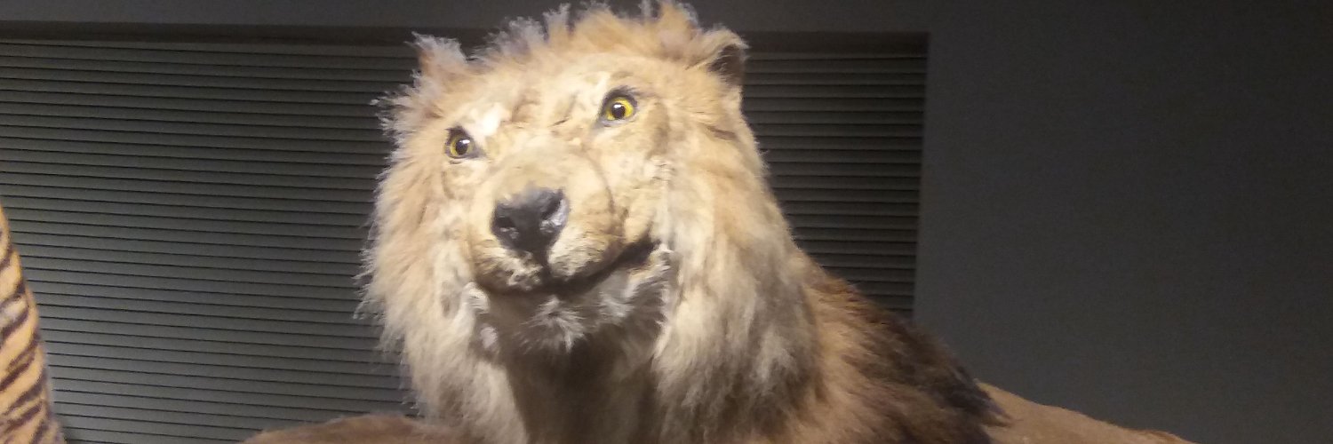 LION's banner