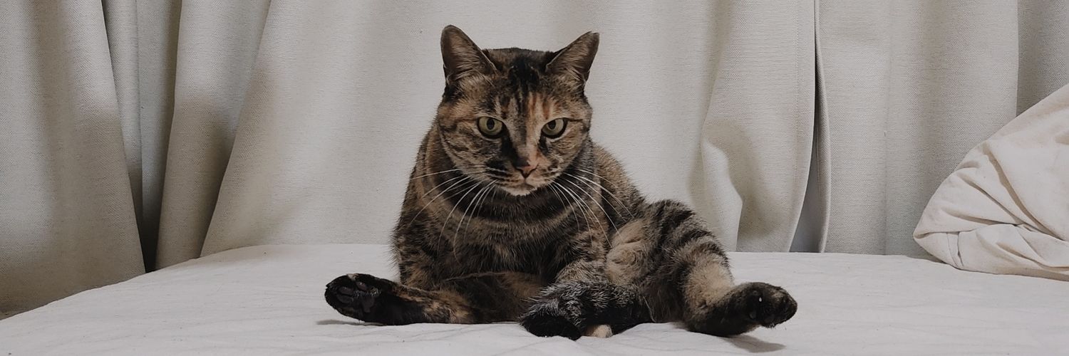 30年生きるねこ's banner