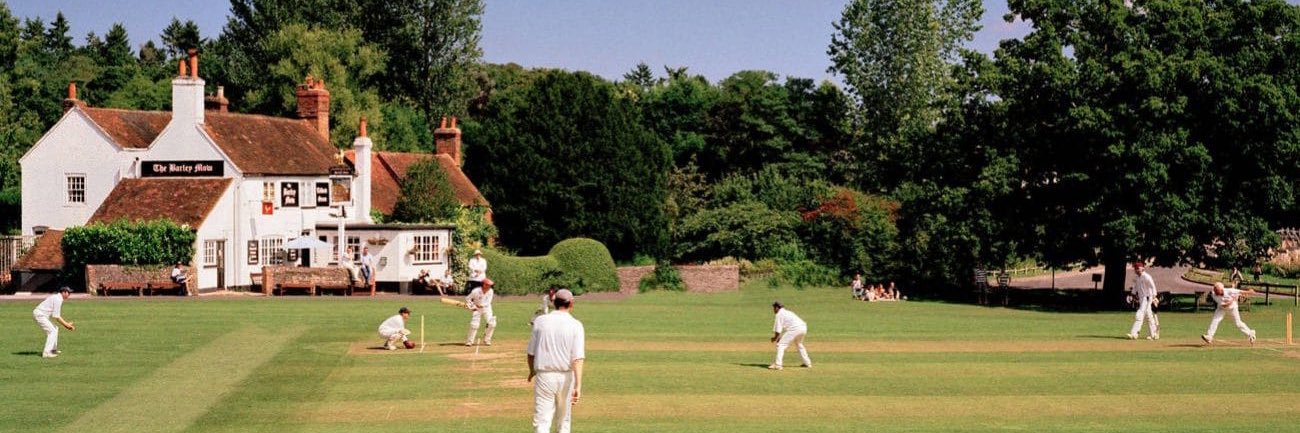 Village Cricket Moments's banner