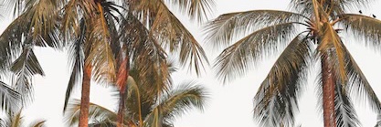 Mel ✨'s banner