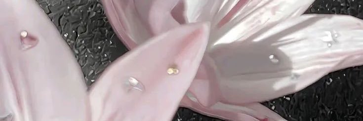 bun is seeing bts ୨ৎ's banner