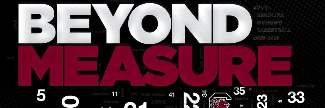 WNBAGamecocks's banner