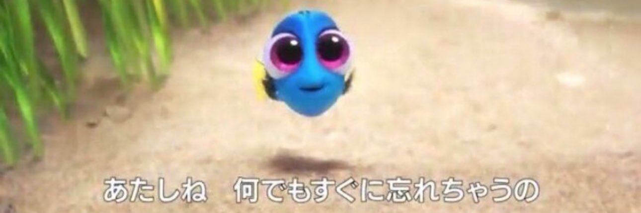 矢神サラ®︎'s banner