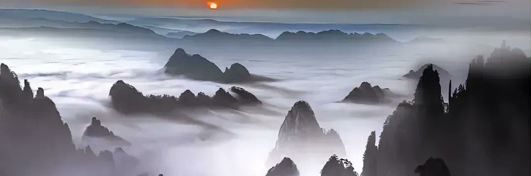 子非鱼2.0🇨🇳🇯🇵's banner