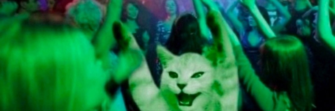 syiqahh meow's banner
